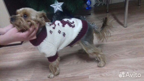 Вязаная одежда для собак и кошек