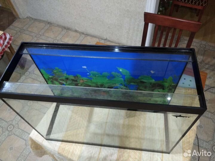 Аквариум
