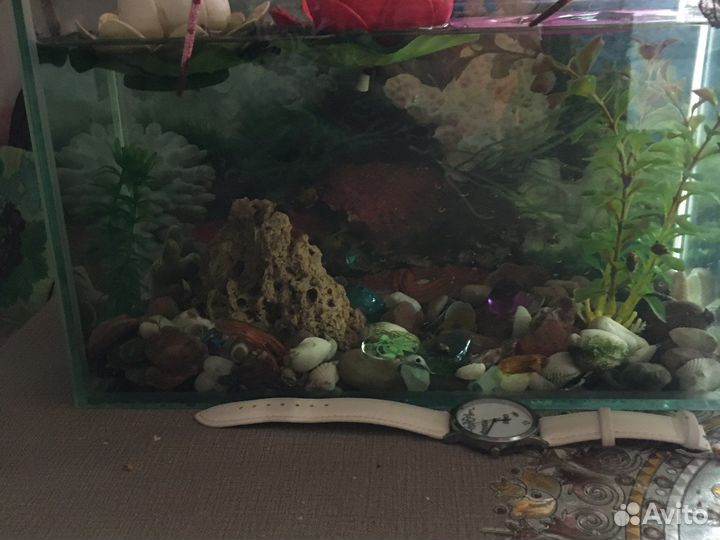 Аквариум