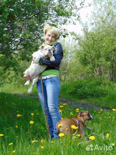 Услуги выгула собак