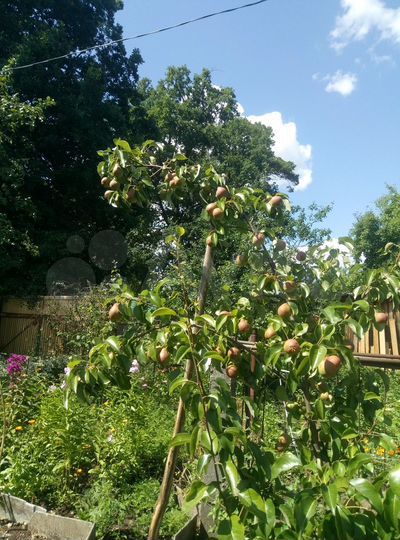 Дача 48,3 м² на участке 5,8 сот.