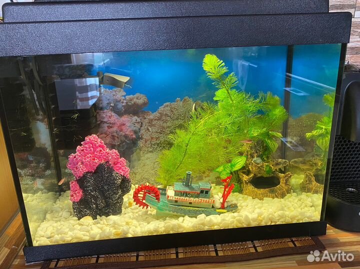 Аквариум