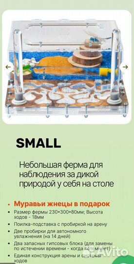 Муравьиная ферма