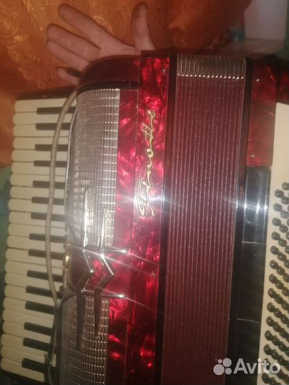 Аккордеон финотти