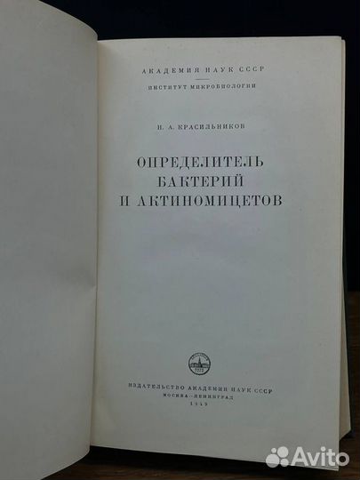 Определитель бактерий и актиномицетов