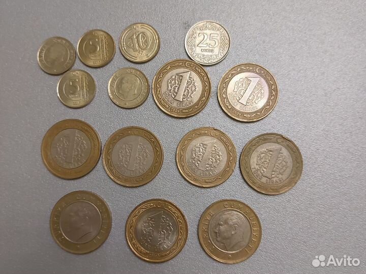 Монеты Украины, Турции