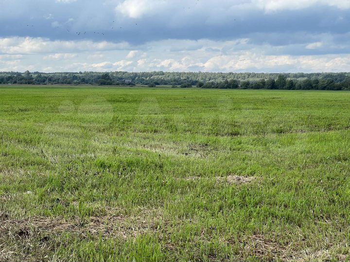 Участок 10 га (СНТ, ДНП)