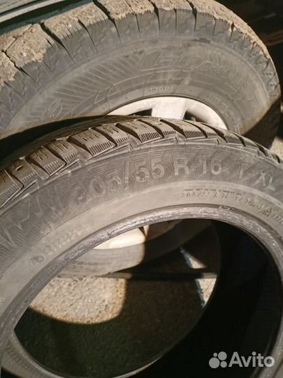 Gislaved NordFrost 100 205/55 R16