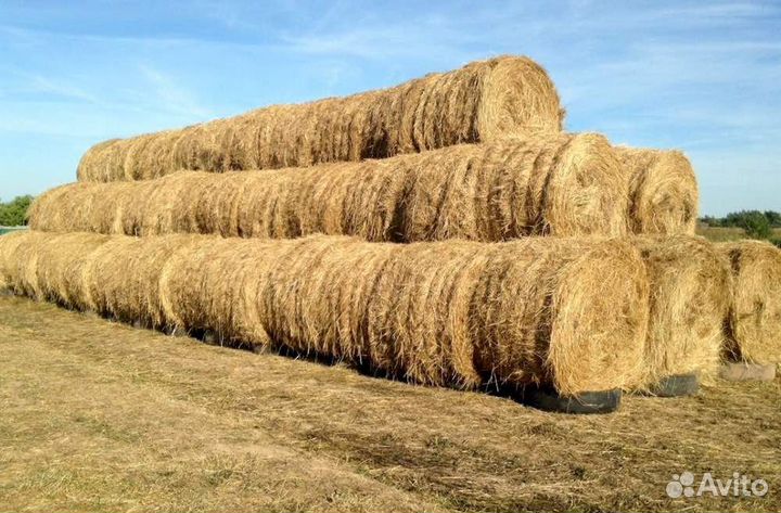 Сено в тюках