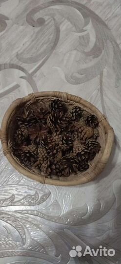 Шишки сосновые