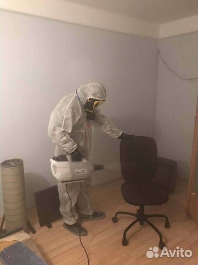 Травить тараканов,уничтожение клопов