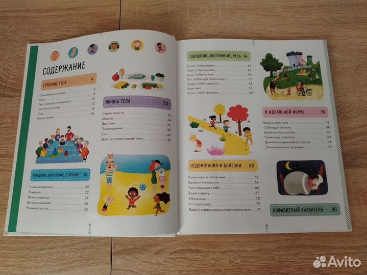 Детская Большая энциклопедия тело человека clever