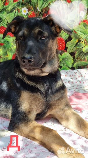 Малыши 3,5-4 мес