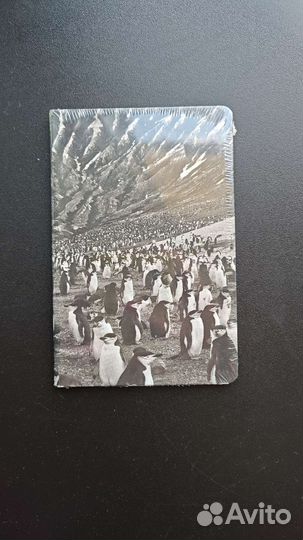 Блокнот новый