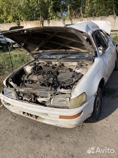 Авторазборка