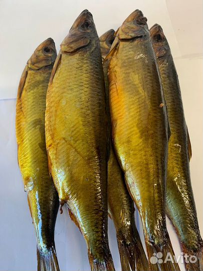 Рыба Сельдь х/к (300+) цена за кг