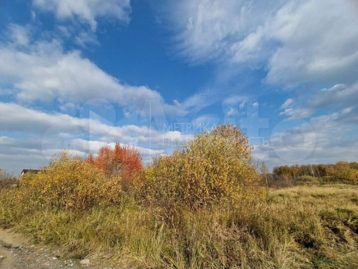 Участок 10 сот. (СНТ, ДНП)