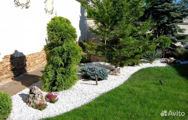 Газон. Рулонный газон