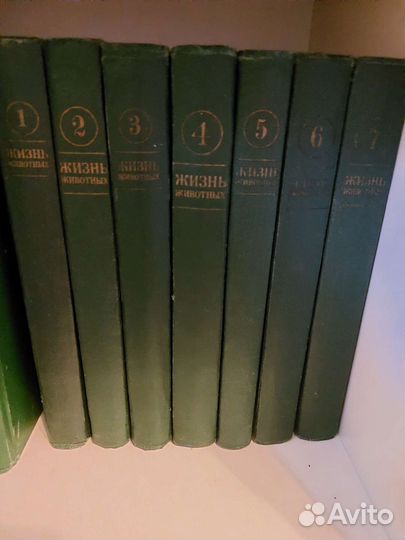 Энциклопедия жизнь животных под ред. Полянского