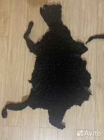 Шкура каракуль