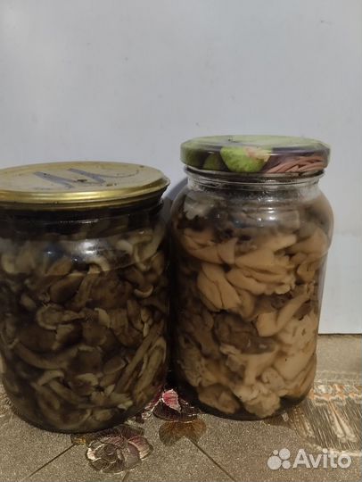 Грибы солёные, маринованные, сухие