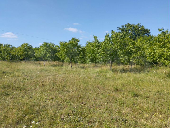 Участок 94 сот. (СНТ, ДНП)