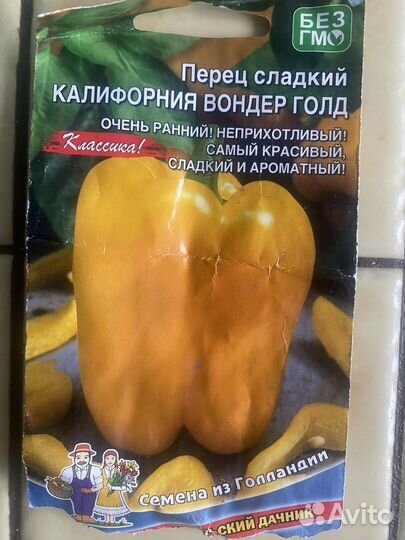 Рассада перца сладкого