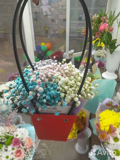 Цветы гипсофила