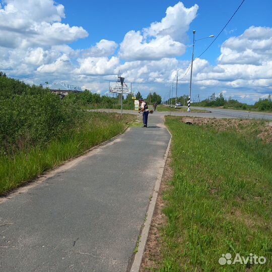 Покос травы, вырубка кустарников