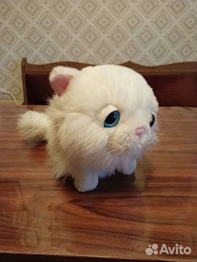 Мягкая игрушка Белый персидский котик