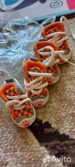 Обувь для маленьких собак