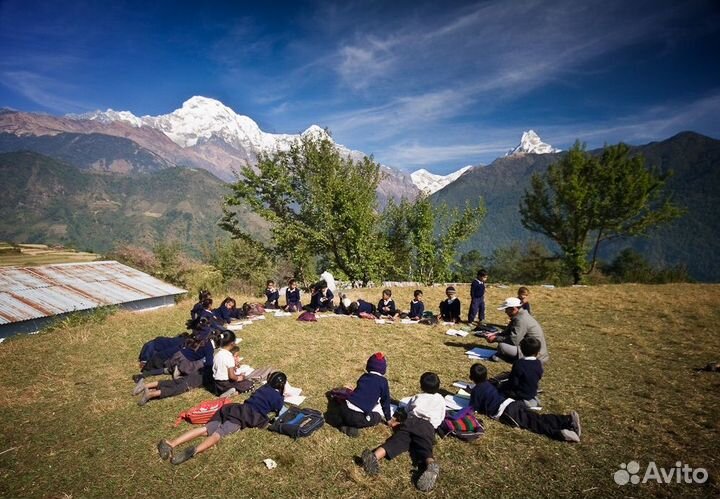 Непал. Трек к священной Мачапучаре w-4013