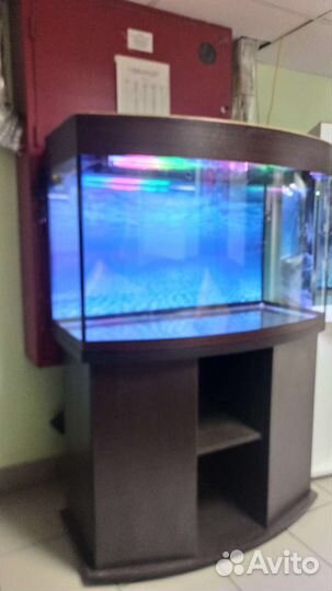 Аквариум 200 свет биофильтр фон подставка