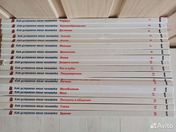 Книги /Как устроено тело человека