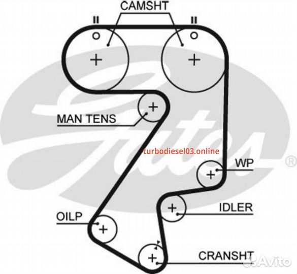 177x25 Ремень грм 5404XS gates