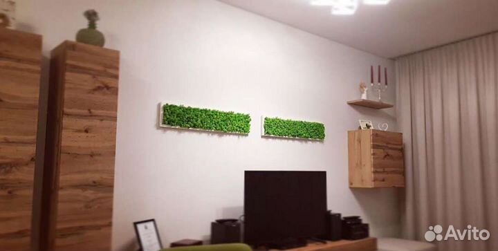 Мох стабилизированный ягель панно из мха