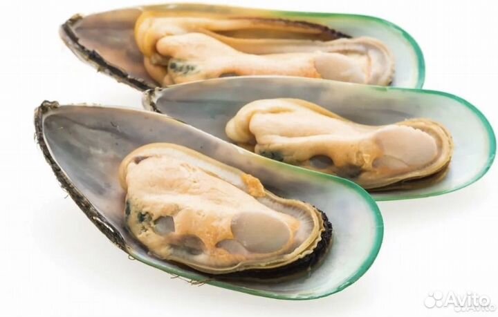 Мидии киви на полустворке