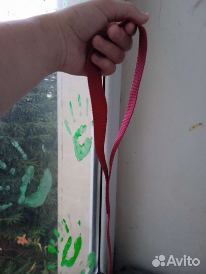 Поводок для собак