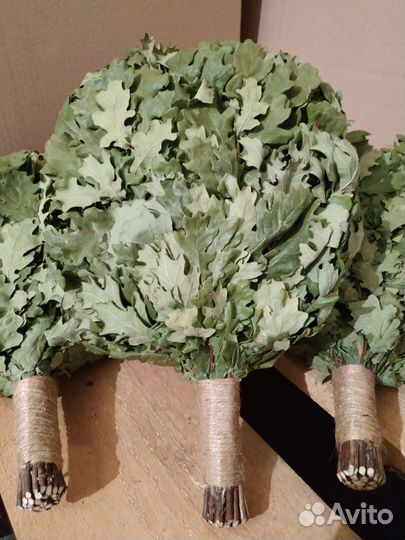 Веник дубовый