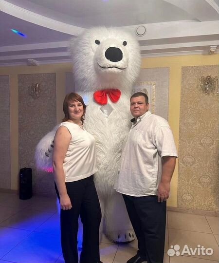 Белый мишка поздравление.Белый мишка.Зайка