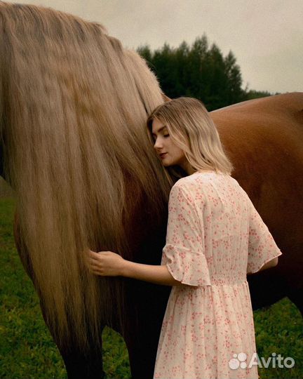 Репетитор егэ и огэ по литературе