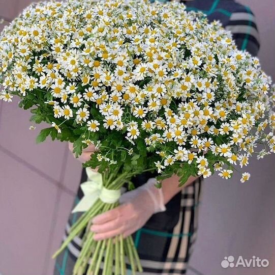 Букеты ромашек