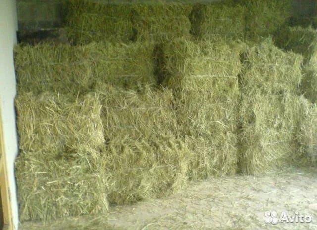 Солома, Сено