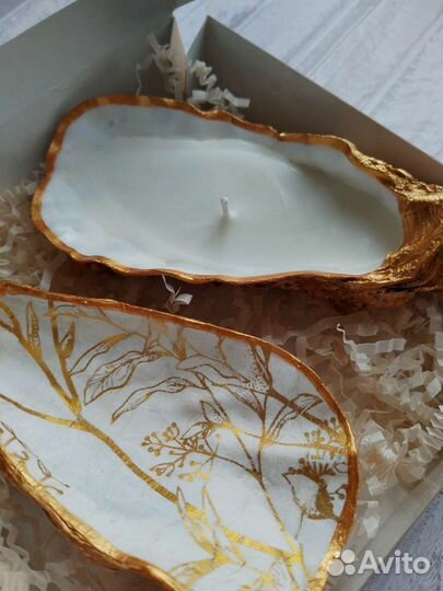 Подарочный набор из раковин устриц