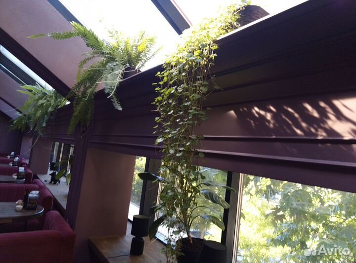 Фитодизайн, озеленение