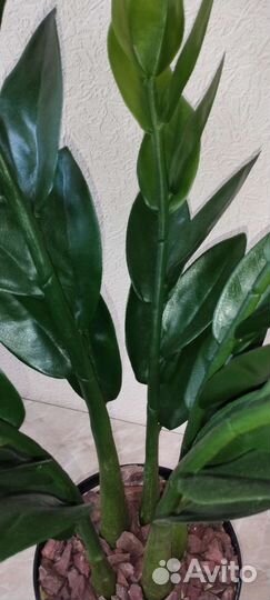 Замиокулькас (долларовое дерево) искусственный