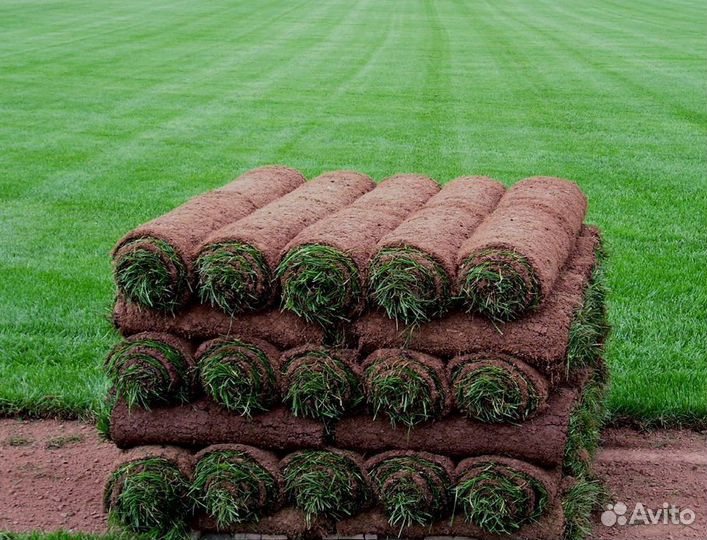 Газон рулонный