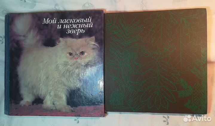 Книга - Фотоальбом СССР, Кошки, Природа, Эрмитаж