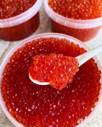 Красная икра 2023