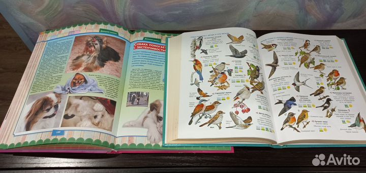 Энциклопедия для девочек